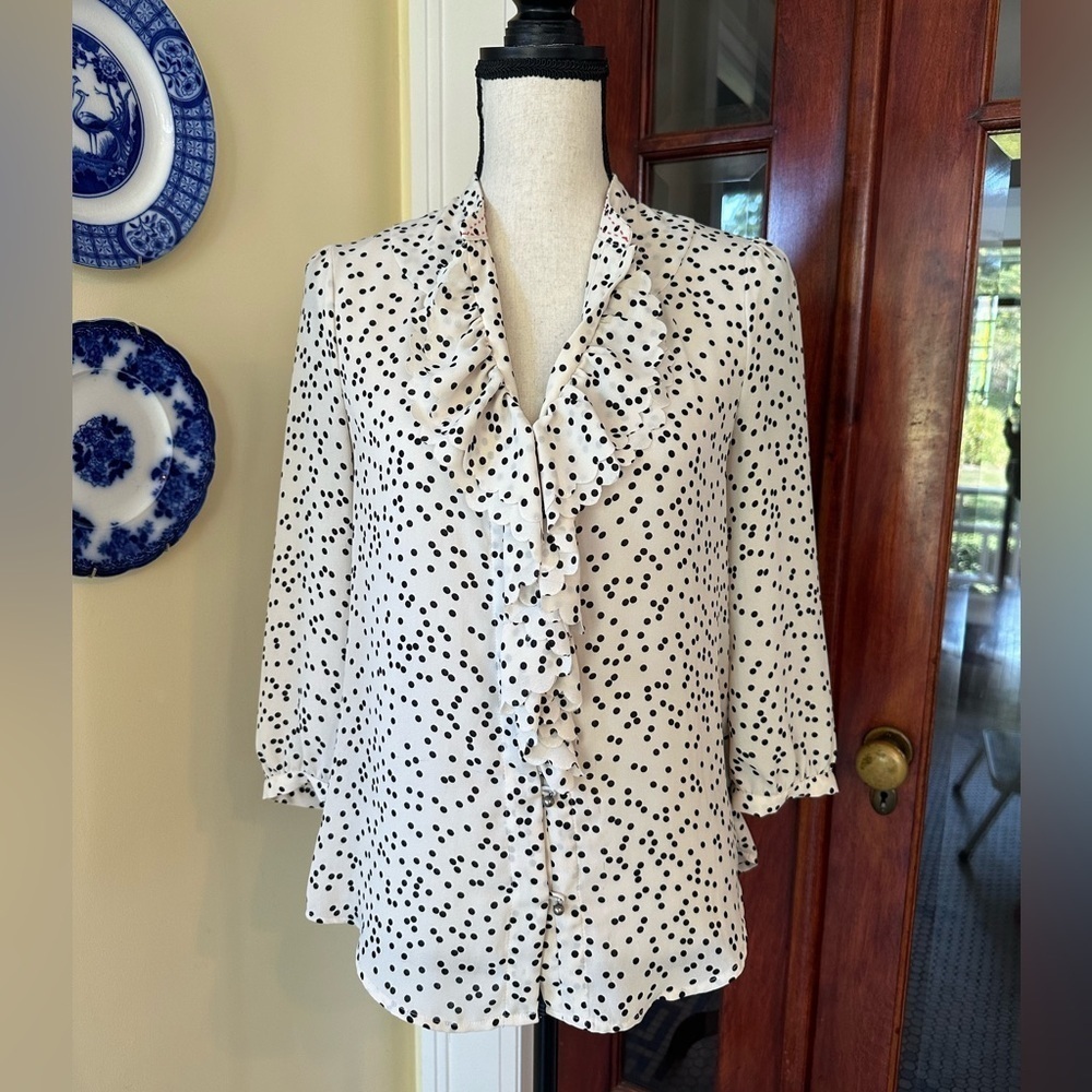 HD in Paris | Anthropologie Ruffle Front Polka Dot Button Down Blouse, Size 6